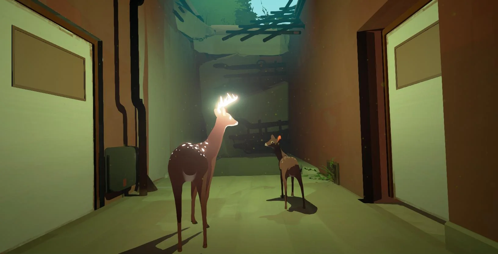 Way to The Woods