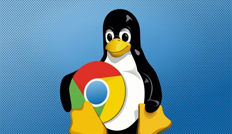 لینوکس و سیستم عامل کروم / Linux and Chrome OS