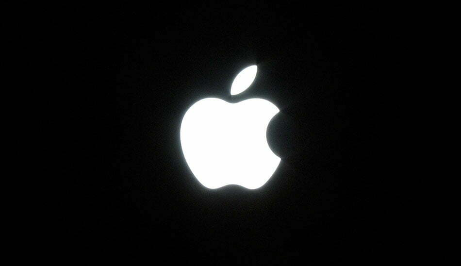 اپل / apple