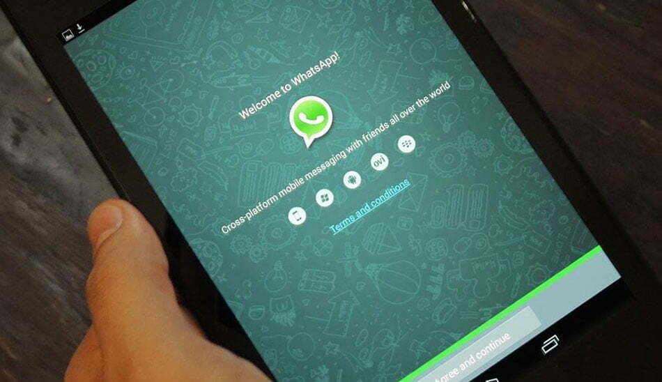 واتس اپ / whatsapp