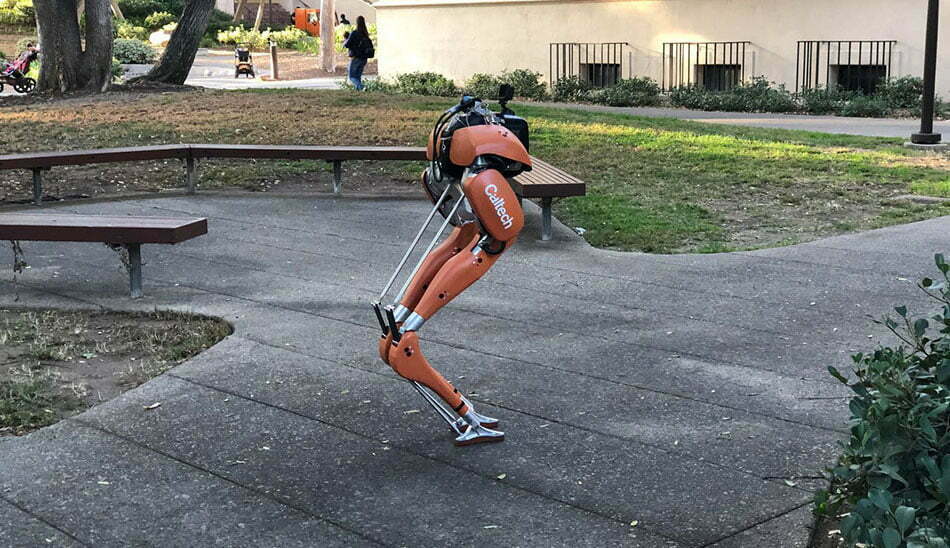 Robot / روبات