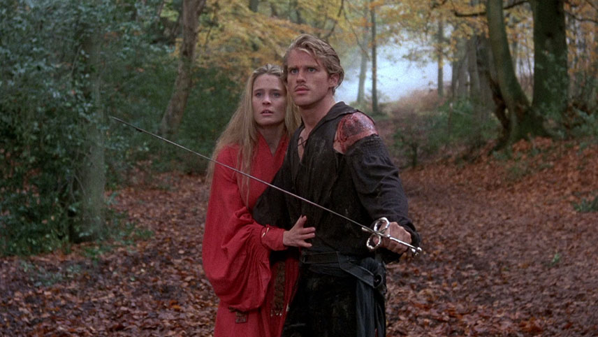 The Princess Bride / بهترین فیلم های فانتزی