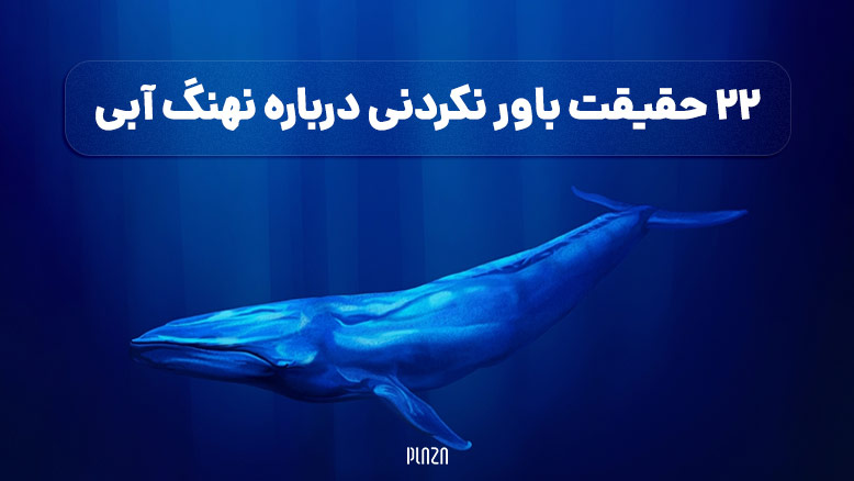 نهنگ آبی / blue whale