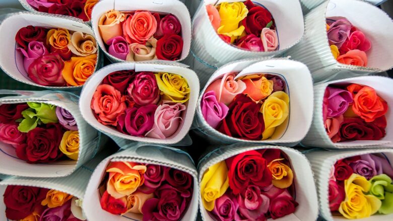 آموزش خرید گل رز برای رویداد های خاص !