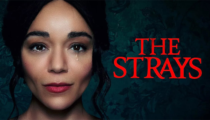 بررسی فیلم The Strays 2023
