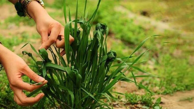بهترین مقاصد برای تفریح در روز ۱۳ بد