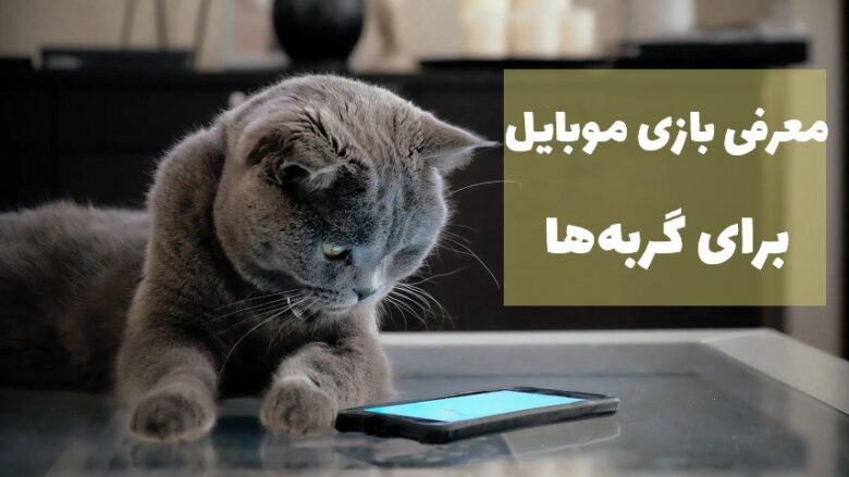 بهترین بازی های گوشی برای گربه ها
