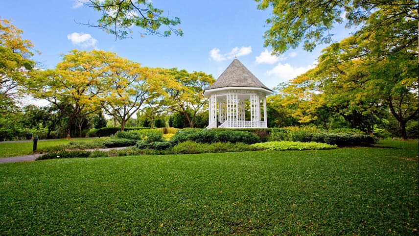 باغ های گیاه شناسی (Botanical Gardens) - جاهای دیدنی طبیعی سنگاپور