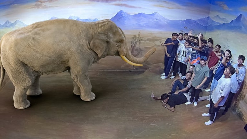 Illusion 3D Art Museum