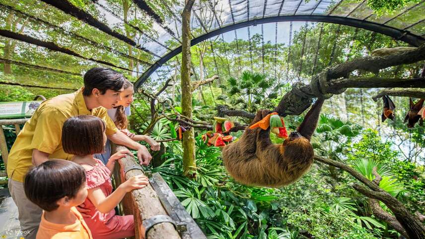 باغ وحش سنگاپور (Singapore Zoo) - جاهای دیدنی سنگاپور برای کودکان