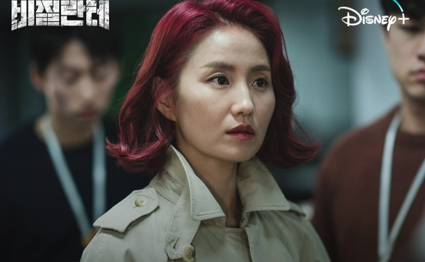 خلاصه سریال کره ای پارتیزان / دانلود سریال Vigilante / نمرات سریال کره ای مامور خودسر