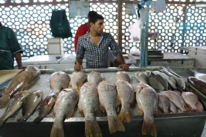 مراکز خرید گناوه/بازار ماهی فروشان