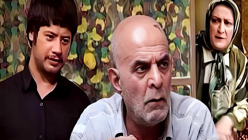 زندگی شغلی مریم امیرجلالی