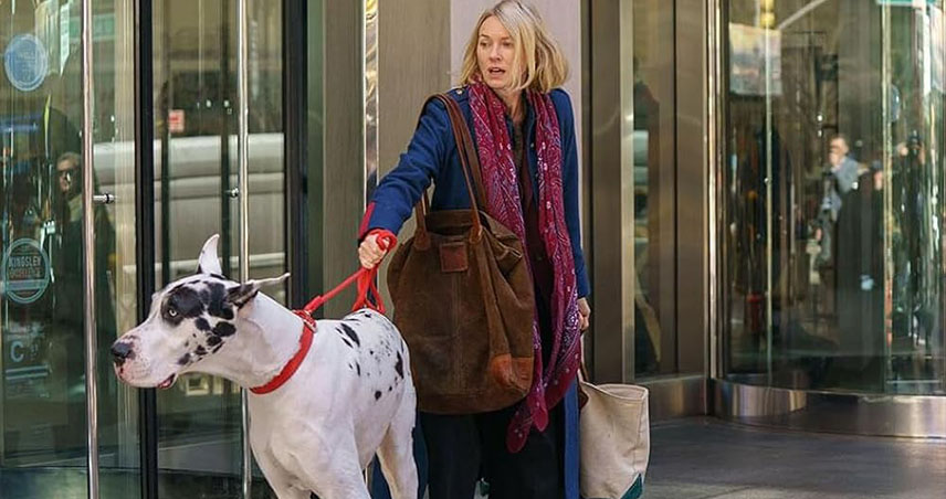 بررسی فیلم The Friend 2024 معرفی فیلم دوست 2024